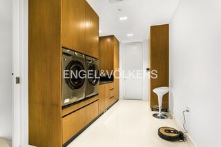 -881533256_e2f63588-3c49-4d30-a002-fa191cda9280.jpg