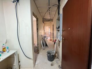 -213380596_IDbdc4a101-0000-0500-0000-0000160df28d.jpg