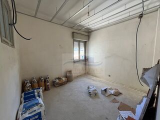 -213380596_IDbdc4a101-0000-0500-0000-0000160df28f.jpg