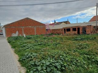 -706169780_i66fo118i610chj7.jpg