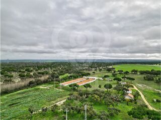 -213176086_ID29a69d01-0000-0500-0000-000015c0e4e5.jpg