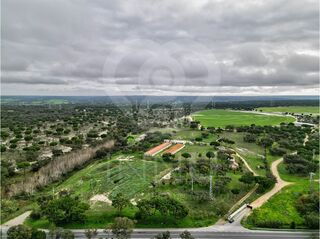 -213176086_ID29a69d01-0000-0500-0000-000015c0e4e6.jpg