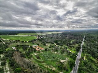 -213176086_ID29a69d01-0000-0500-0000-000015c0e4e8.jpg