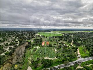 -213176086_ID29a69d01-0000-0500-0000-000015c0e4e9.jpg