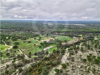 -213176086_ID29a69d01-0000-0500-0000-000015c0e4ec.jpg