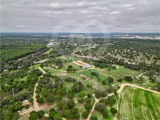 -213176086_ID29a69d01-0000-0500-0000-000015c0e4f1.jpg
