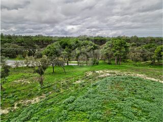 -213176086_ID29a69d01-0000-0500-0000-000015c0e52c.jpg