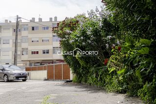 -706171979_4ab3bztt0bxg638j.jpg
