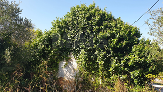 -33043490_wm-ae67a7e96a-4dcaa63987.webp