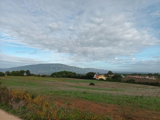 -33057714_wm-d01de03f83-4dcaa63987.webp