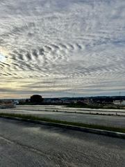 -33058671_wm-ba7c3f31ff-4dcaa63987.webp