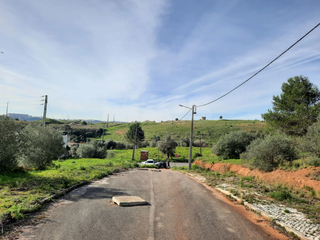 -33059192_wm-55d1bd557a-4dcaa63987.webp