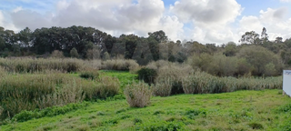 -33059454_wm-98f7afd4be-4dcaa63987.webp