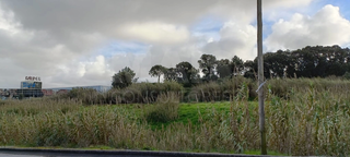 -33059454_wm-e347ea6498-4dcaa63987.webp