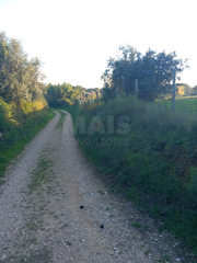 -33059557_wm-024653099d-4dcaa63987.webp