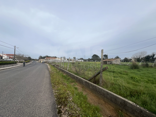 -33059678_wm-99fb9e7fe7-4dcaa63987.webp