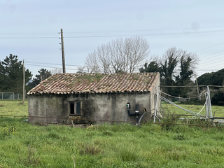 -33059678_wm-a8c09388a6-4dcaa63987.webp