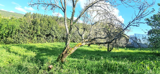 -33059925_wm-bd3264eb16-4dcaa63987.webp