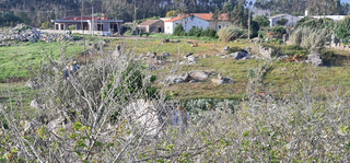 -33059926_wm-739060ca17-4dcaa63987.webp