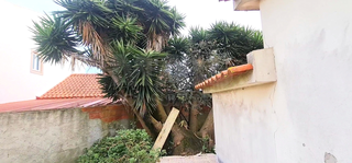 -33059926_wm-d09b39e546-4dcaa63987.webp