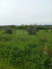 -33059981_wm-265761955c-4dcaa63987.webp