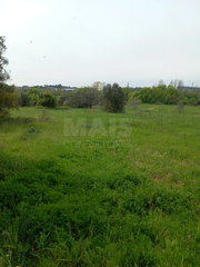 -33059981_wm-3f85013385-4dcaa63987.webp