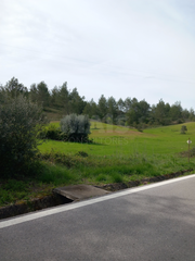 -33059983_wm-3d70d883c6-4dcaa63987.webp