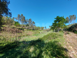 -33060231_wm-df0eb48f30-4dcaa63987.webp