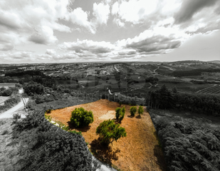 -33060456_wm-670242f375-4dcaa63987.webp