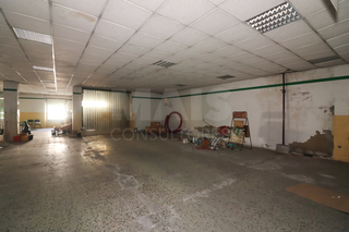 -33060540_wm-7a84374449-4dcaa63987.webp