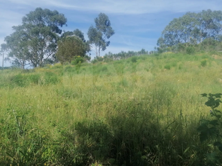 -33060840_1920x1440_43.webp