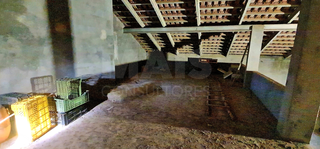 -33061303_wm-fea5b8d880-4dcaa63987.webp