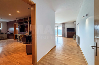 -33061484_wm-b9cad40295-4dcaa63987.webp
