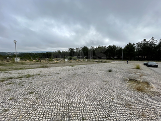 -33061813_wm-7ac96090d7-4dcaa63987.webp