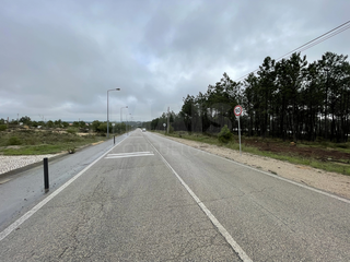 -33061814_wm-3610c4af62-4dcaa63987.webp