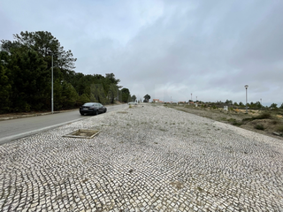 -33061814_wm-5eebe453d3-4dcaa63987.webp