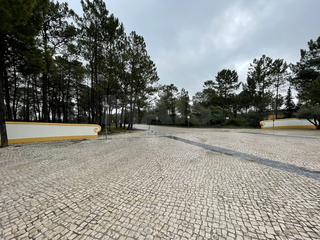 -33061814_wm-d66664c5df-4dcaa63987.webp