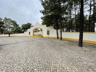 -33061814_wm-e4ade57695-4dcaa63987.webp
