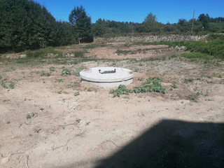 -33061847_wm-3d77d54298-4dcaa63987.webp