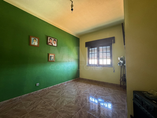 -33061887_wm-92bb0de5bc-4dcaa63987.webp