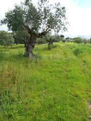 -33061921_wm-4b4187fdc5-4dcaa63987.webp