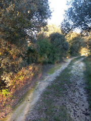-33061921_wm-d967bc2ba0-4dcaa63987.webp