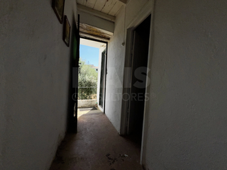 -33061943_wm-dee3333ef7-4dcaa63987.webp