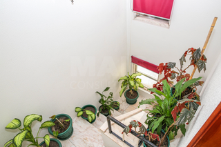 -33062047_wm-fdde51219a-4dcaa63987.webp