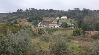 -33062143_wm-9e7ac2407f-4dcaa63987.webp