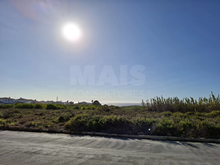 -33062174_wm-84cefd69db-4dcaa63987.webp