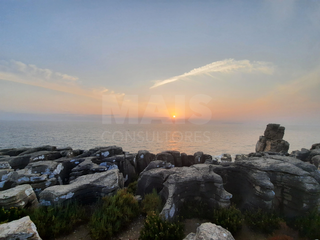 -33062403_wm-8f59493bdb-4dcaa63987.webp