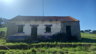 -33062536_wm-d736f74334-4dcaa63987.webp