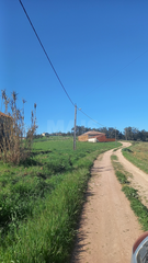 -33062536_wm-fe1f205af8-4dcaa63987.webp