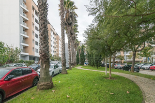 -33063010_wm-2bd96dc2ca-4dcaa63987.webp